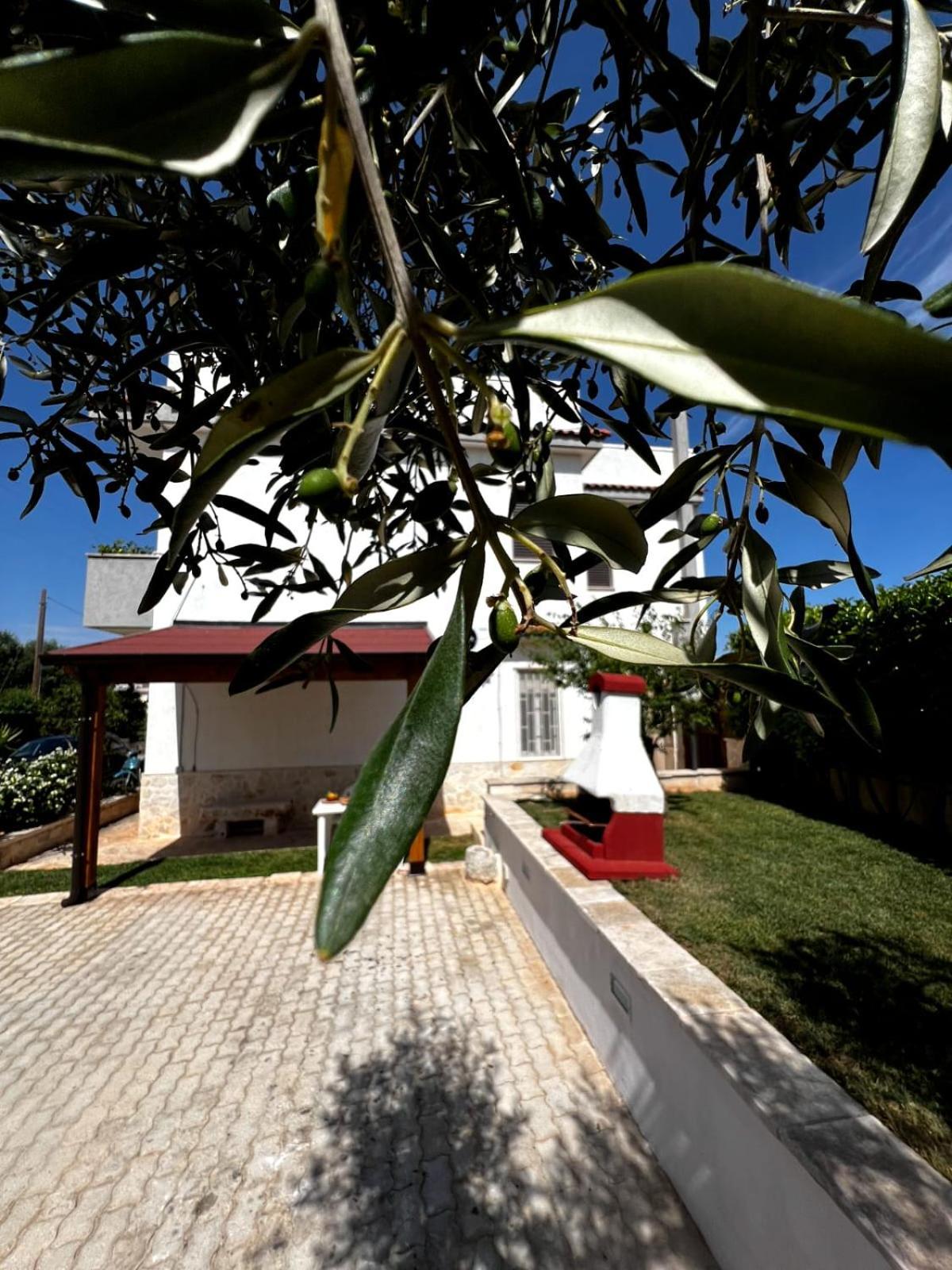 Casa Tesoro Villa Cisternino Kültér fotó
